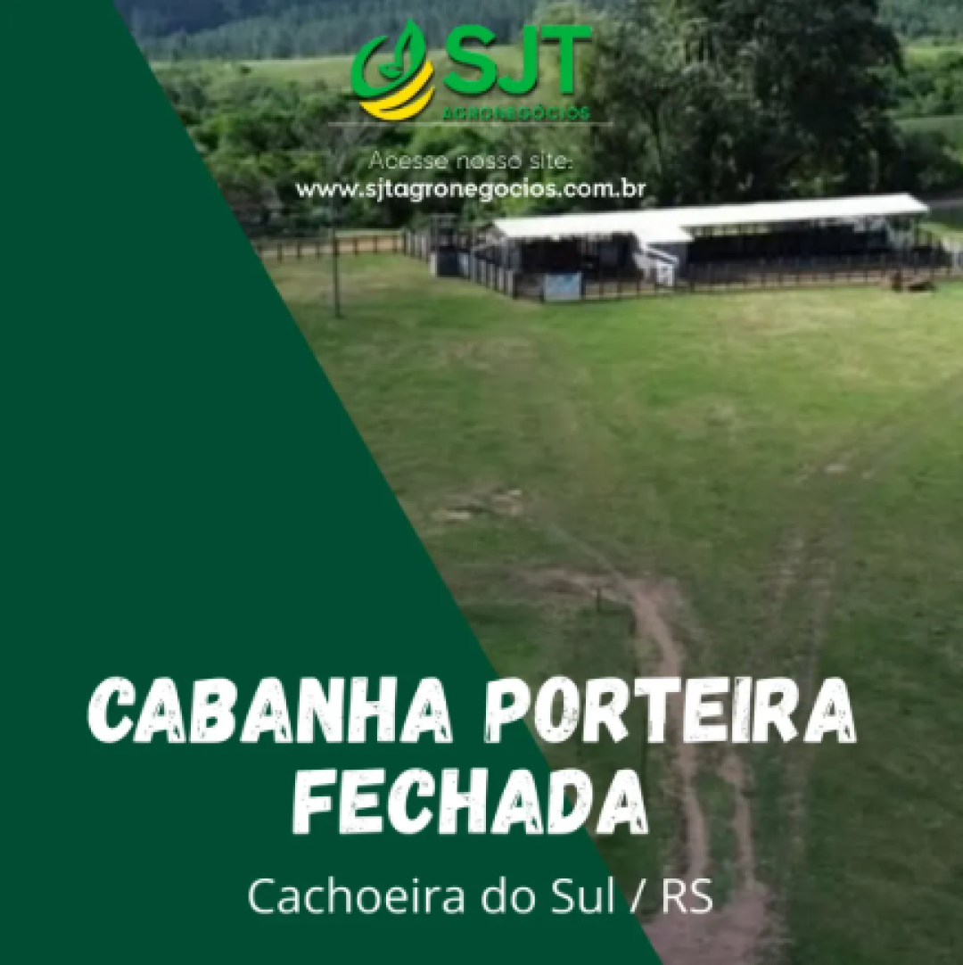 Oportunidades
